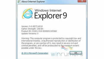 Internet Explorer 9 Activex
