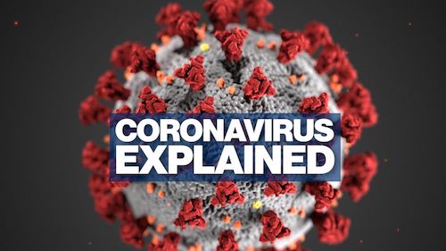coronavirus 19
